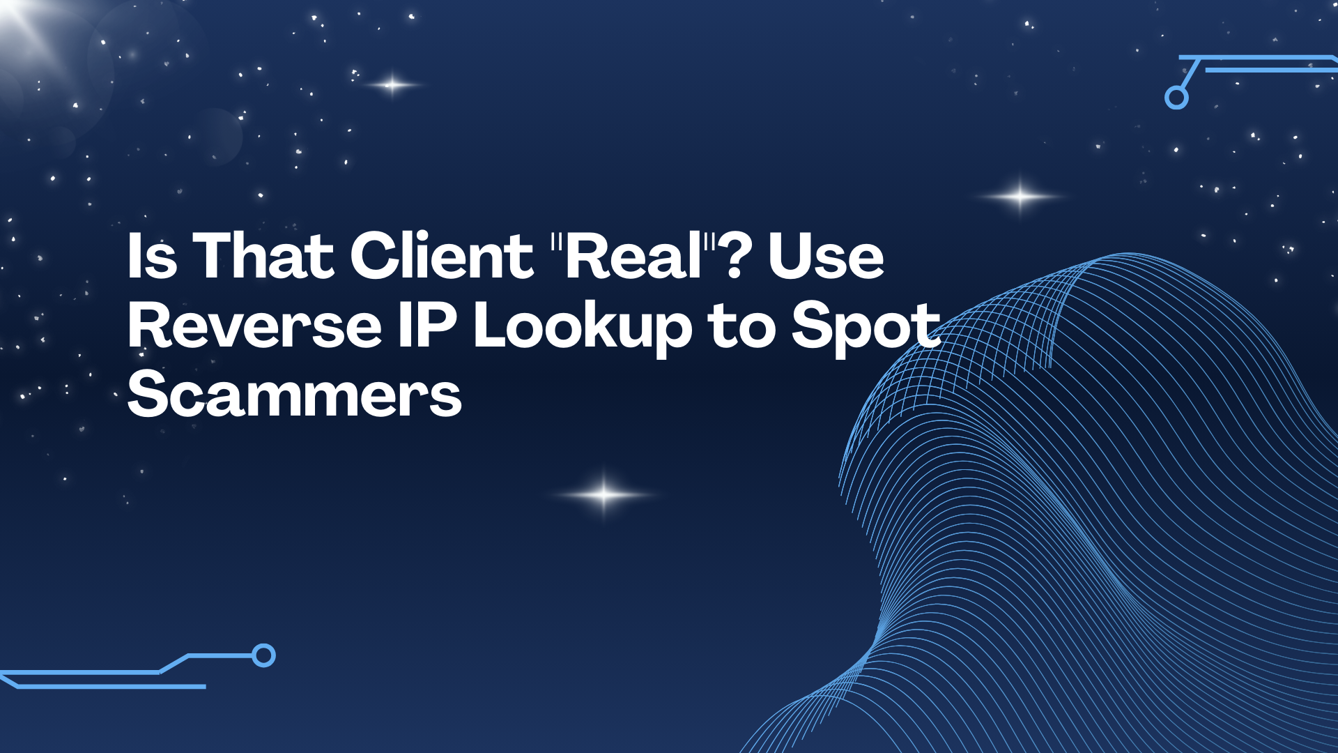 Is That Client "Real"? Use Reverse IP Lookup to Spot Scammers