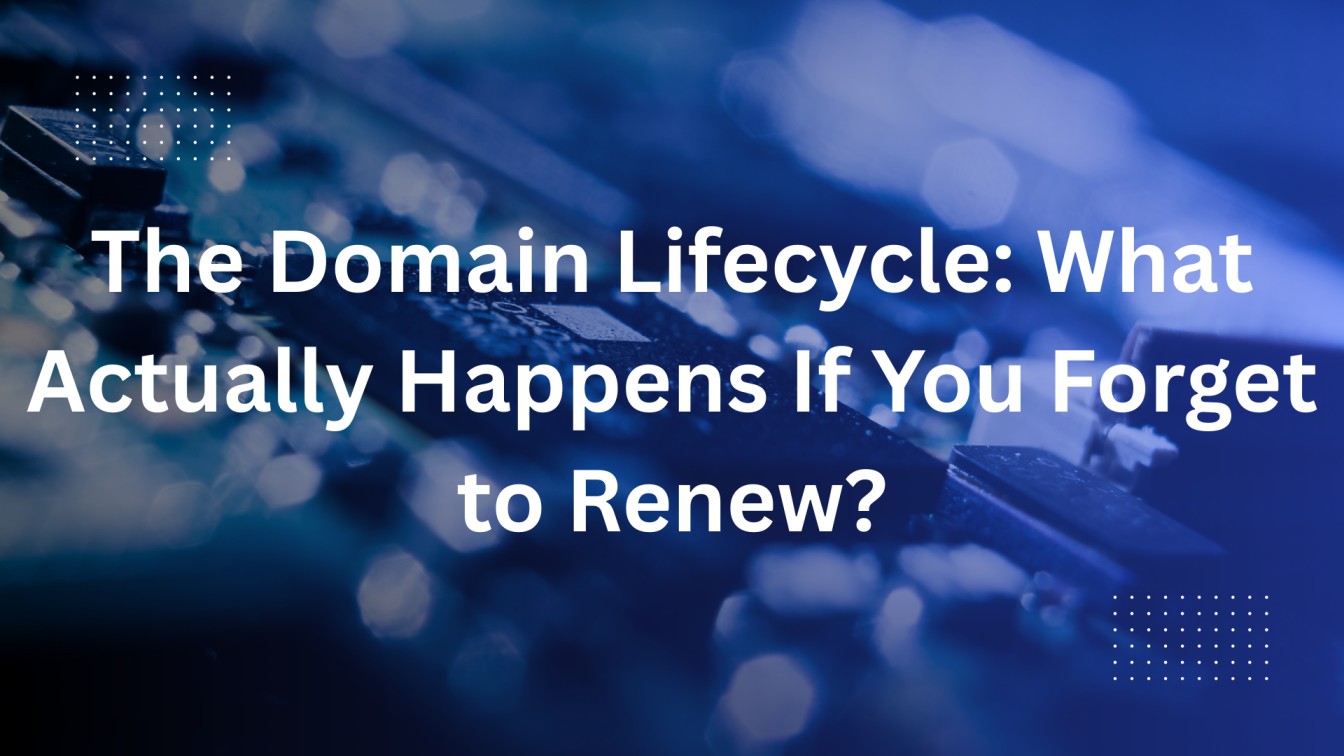 The Domain Lifecycle: What Actually Happens If You Forget to Renew?
