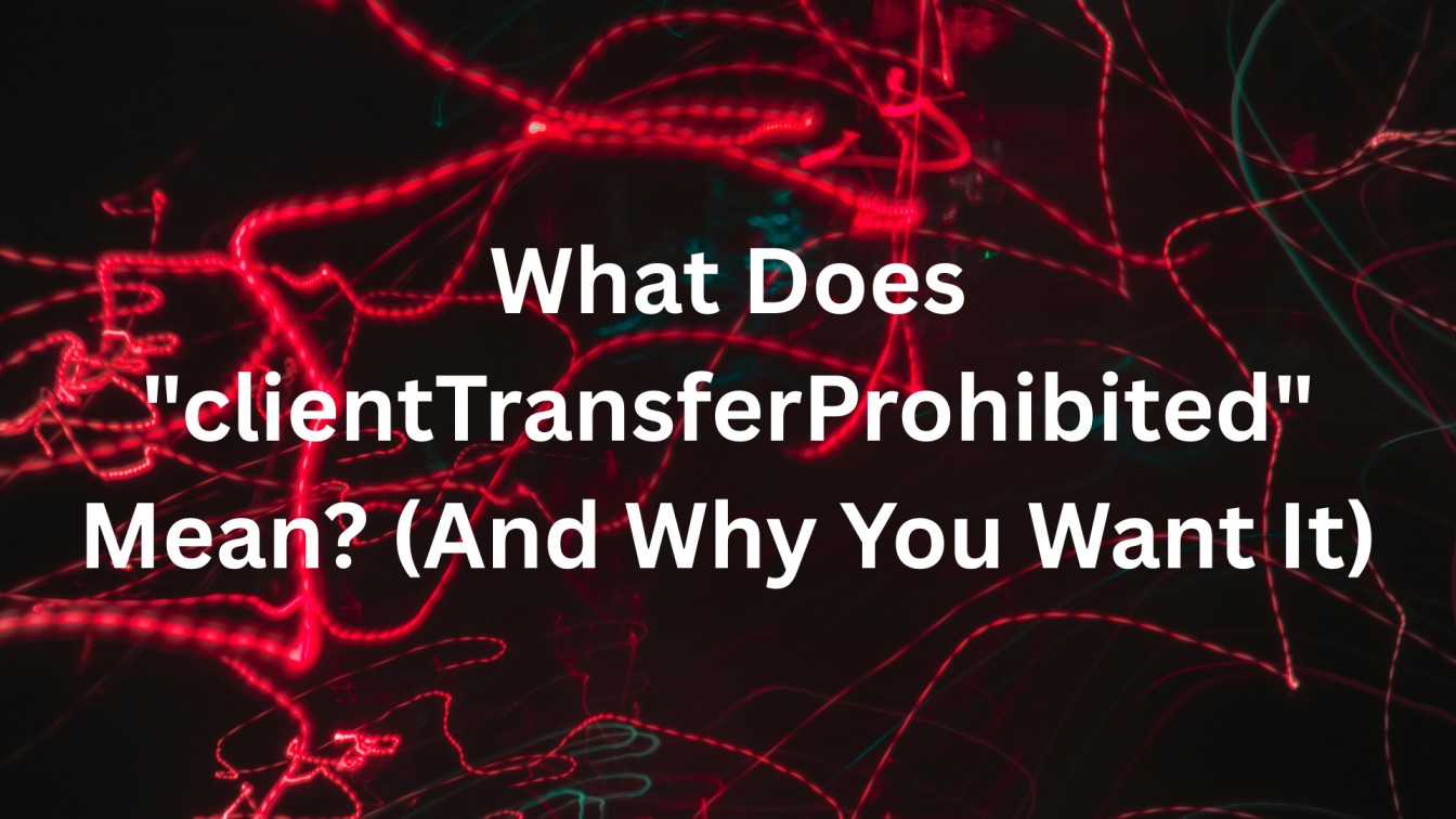 What Does "clientTransferProhibited" Mean? (And Why You Want It)
